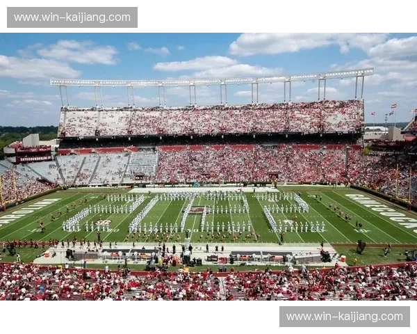 阵容超级碗：打造属于你的终极观赛盛宴