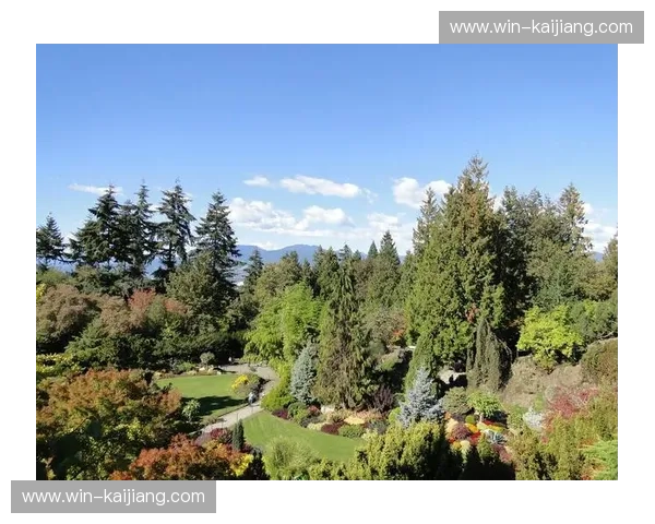 温哥华vs.多伦多：加拿大双子星的魅力之争，你的心属于哪一片枫叶？